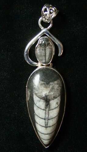 Fossil Orthoceras & Trilobite Pendant - Sterling Silver #8578